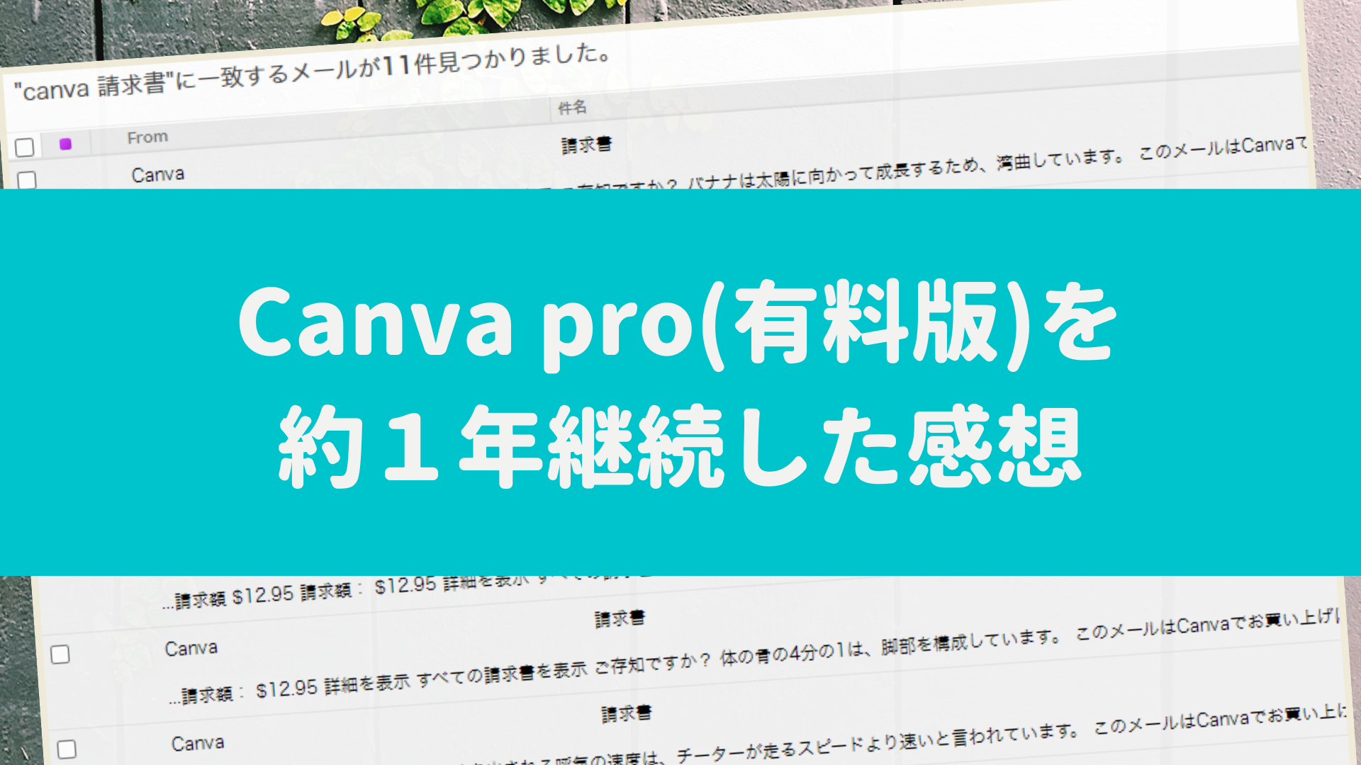 Canva pro(有料版)を 約１年継続した感想